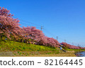 靜岡縣河津町河津櫻 82164445