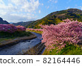 靜岡縣河津町河津櫻 82164446