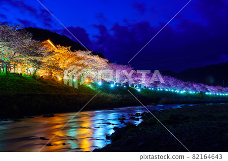 靜岡縣河津町河津櫻花燈飾 82164643