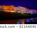 靜岡縣河津町河津櫻花燈飾 82164646
