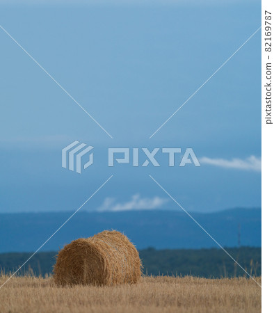 Ball of straw under the clear sky Ball of straw under the clear sky 82169787