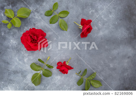Flower arrangement of fresh red rose flowers on a gray background with space for text. Postcard. 82169806