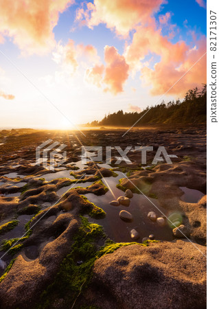 Botanical Beach on the West Coast of Pacific Ocean. Botanical Beach on the West Coast of Pacific Ocean. 82171307