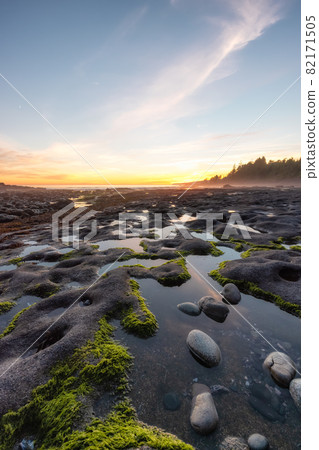 Botanical Beach on the West Coast of Pacific Ocean. Botanical Beach on the West Coast of Pacific Ocean. 82171505