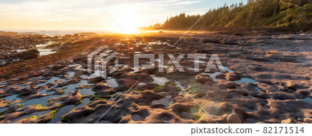 Botanical Beach on the West Coast of Pacific Ocean. Botanical Beach on the West Coast of Pacific Ocean. 82171514