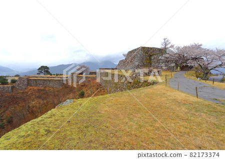 在武田城堡的櫻花 在武田城堡的櫻花 82173374