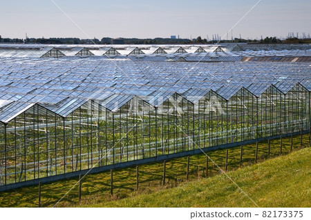 Greenhouse agricultural production 82173375