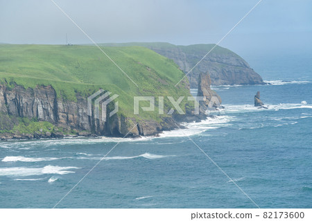 Coastline (Japan-Hokkaido-Primitive Flower Garden Ayamegahara) 82173600