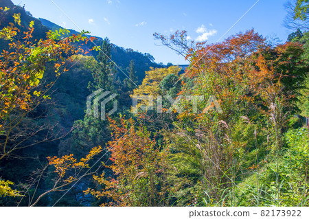 Near the entrance to Sanbaseki Gorge Autumn scenery Autumn leaves season 82173922