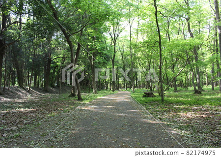 Fuyama castle ruins 82174975