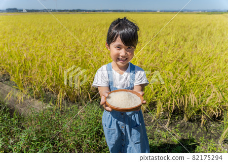 Rice agriculture girl at hand Rice agriculture girl at hand 82175294