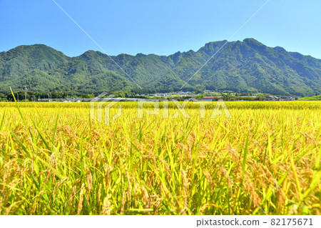 Overlooking Tokkozan (Ueda City, Nagano Prefecture) [2021.9] 82175671