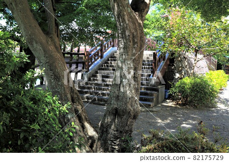 Sengoku Castle, Sunomata Ichiya Castle, 16 (Sunomata, Ogaki City, Gifu Prefecture) 82175729