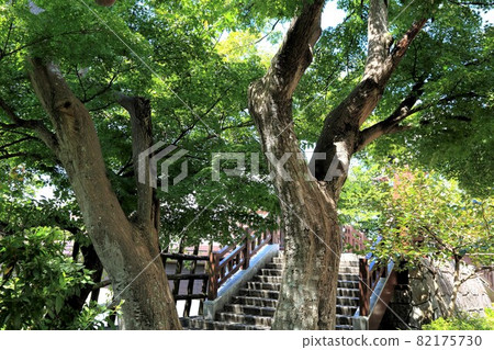 Sengoku Castle, Sunomata Ichiya Castle, 17 (Sunomata, Ogaki City, Gifu Prefecture) 82175730