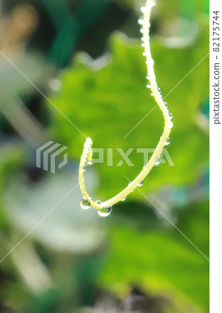 早上湯 82175744