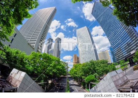 Tokyo Shinjuku Skyscraper Street 2021 Summer 82176422