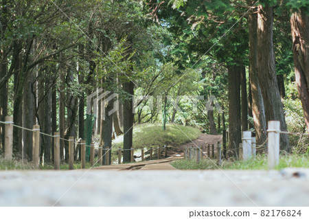 Oyama Miharashidai mountain trail Oyama Miharashidai mountain trail 82176824