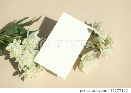 帶陰影的名片模型 82177132