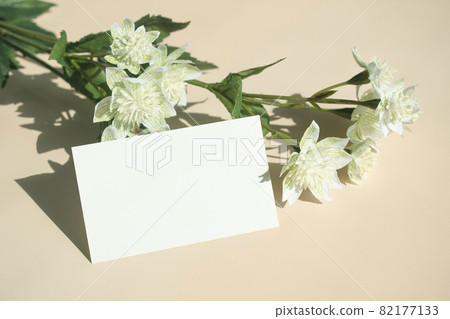 business card mockup with shadow 82177133