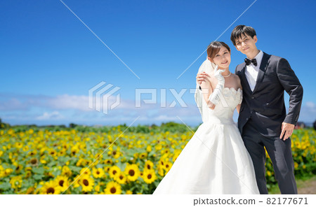 Bridal image summer sunflower field 82177671