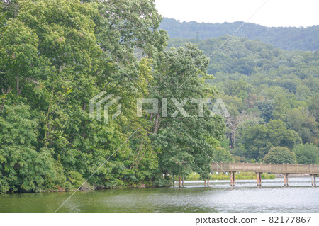 The walking bridge crossing Lake Junaluska in the Smoky Mountains of Asheville, Haywood County, North Carolina 82177867
