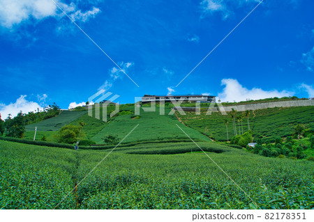 The tea plantations on the hilltop are often shrouded in clouds and fog. The tea plantations on the hilltop are often shrouded in clouds and fog. 82178351