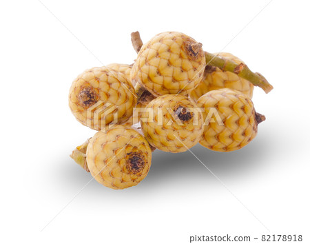 Rattan palm fruit an isolated on white background Rattan palm fruit an isolated on white background 82178918