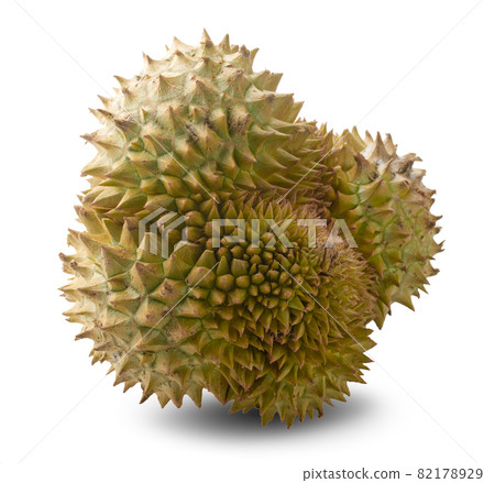 Durian tropical fruit isolated on white background Durian tropical fruit isolated on white background 82178929