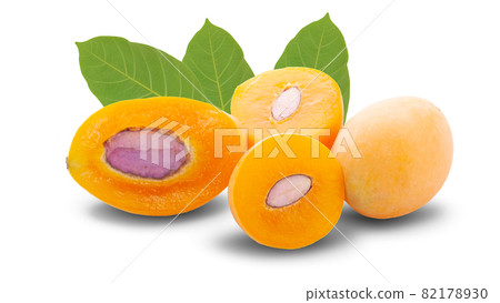 maprang fruit , marian plum, or plum mango isolated on white background maprang fruit , marian plum, or plum mango isolated on white background 82178930
