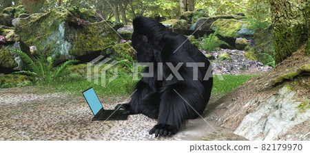 Gorilla with laptop in forest concept 3d illustration Gorilla with laptop in forest concept 3d illustration 82179970