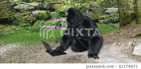Gorilla with laptop in forest concept 3d illustration Gorilla with laptop in forest concept 3d illustration 82179972