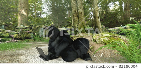 Gorilla with laptop in forest concept 3d illustration 82180004