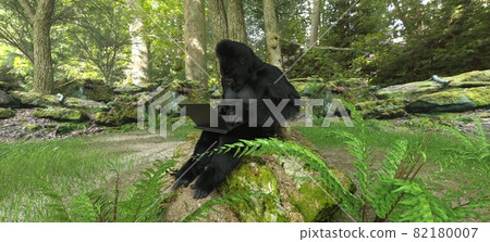 Gorilla with laptop in forest concept 3d illustration 82180007