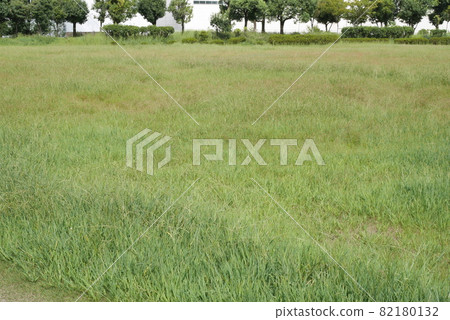 綠色空間 82180132