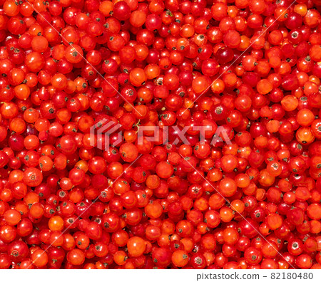 Ribes rubrum. background with berries of scarlet color. Ribes rubrum. background with berries of scarlet color. 82180480
