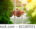 Well decoration petunias in pots 82180501