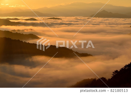 野坂川村的雲海 82180513