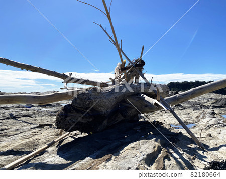 Flotsam art Flotsam art 82180664
