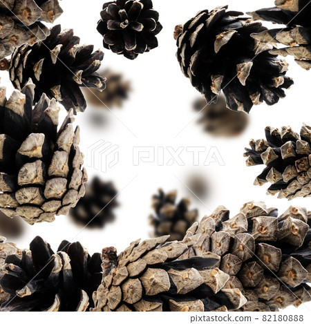 Pine cones levitate on a white background 82180888