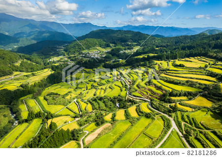 秋收前梯田景觀 82181286