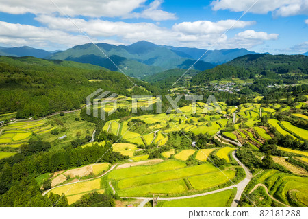 Landscape of rice terraces before autumn harvest 82181288