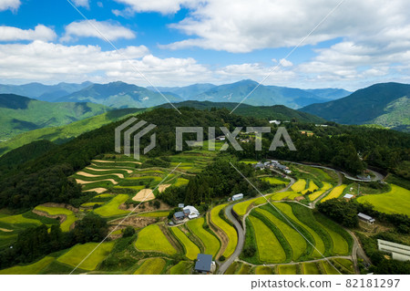 Landscape of rice terraces before autumn harvest Landscape of rice terraces before autumn harvest 82181297