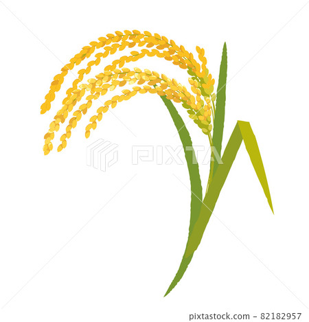 Inaho Illustration Inaho Illustration 82182957