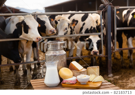 Image of dairy products on the farm Image of dairy products on the farm 82183713