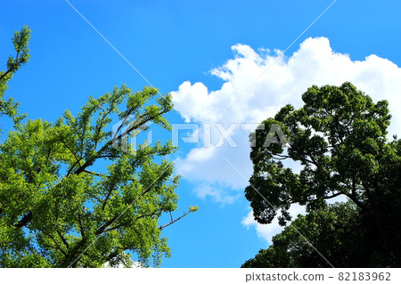 Summer sky clouds 82183962