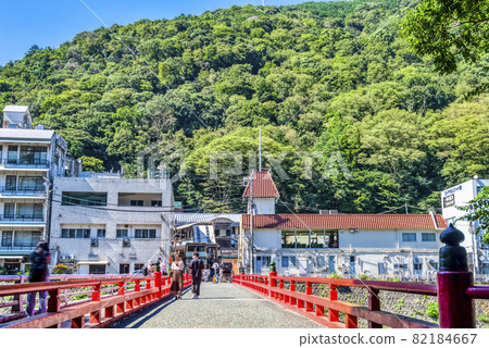 Hakone Yumoto, Kanagawa Prefecture Hayakawa Hydrangea Bridge 82184667