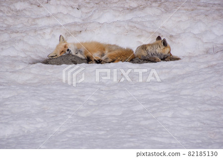 Get along and sleep Get along and sleep 82185130