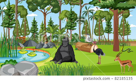 Forest scene with different wild animals Forest scene with different wild animals 82185135