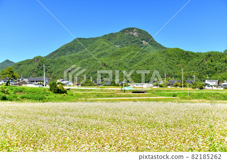 Tachiakane Soba Field / Komayumidake（長野縣青木村）的景色 [2021.9] 82185262