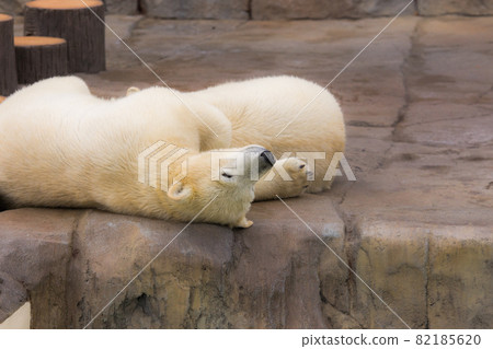 Twins fall asleep Twins fall asleep 82185620